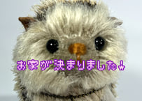 ハリネズミ#297