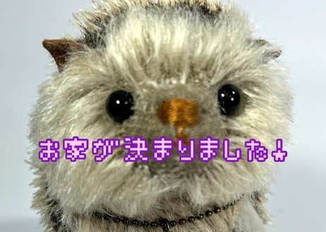 ハリネズミ#297