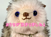 ハリネズミ#262