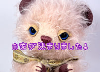 ラージモヘアベア★ピンク