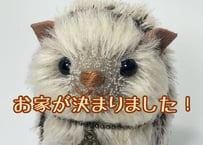 ハリネズミ#220