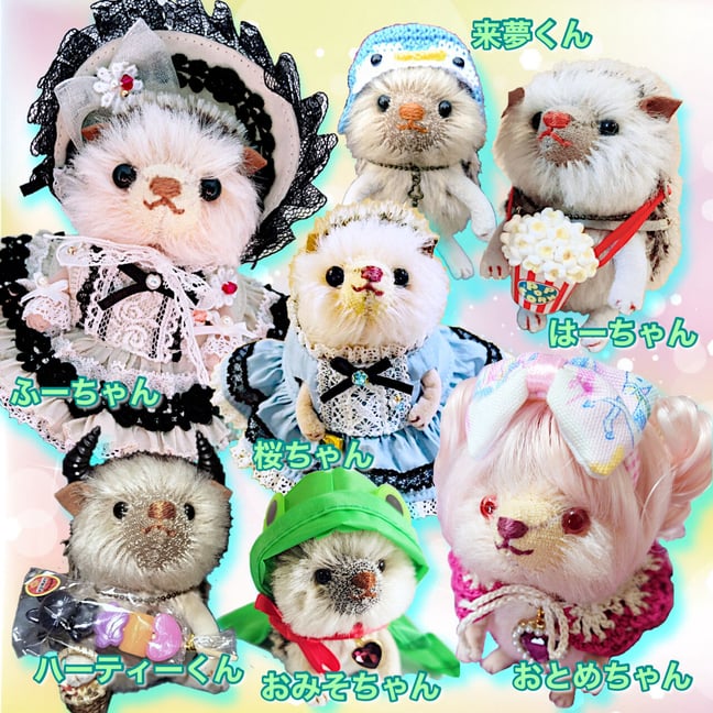 くまきちすとあ本店