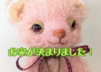 ぷちモヘアベア#223ピンク(現品)