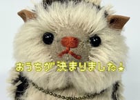 ハリネズミ#264