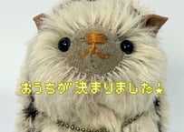 ハリネズミ#268