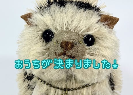 ハリネズミ#274