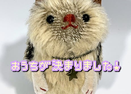ハリネズミ★チャコール-ベージュ#360