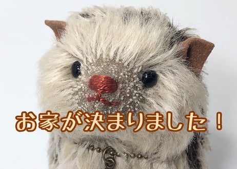 ハリネズミ#217