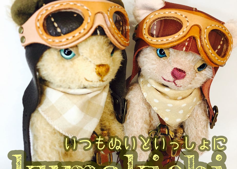 645d104da932bf0034447a8a