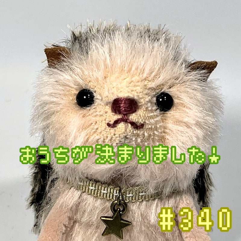 ハリネズミ☆チャコール-ピンク#340 | くまきちすとあ本店