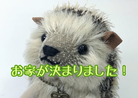 モヘアのハリネズミ#191(現品)