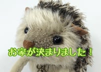 モヘアのハリネズミ#157(現品)