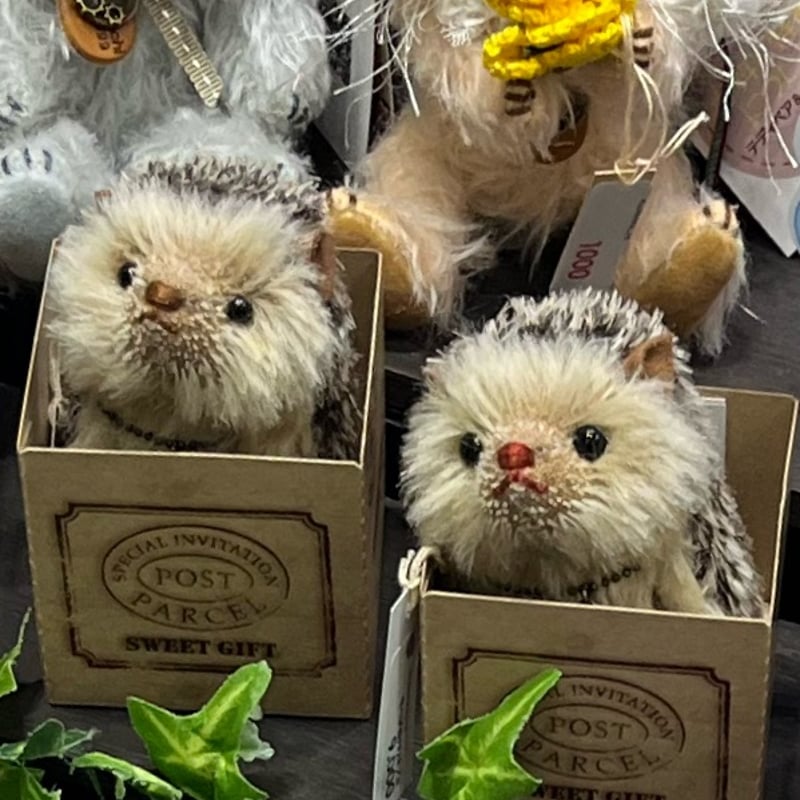 ハリネズミ☆チャコール×ベージュ#373 | くまきちすとあ本店