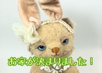 ぷちモヘアベア#202 イエロー(現品)