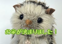 モヘアのハリネズミ#182(現品)