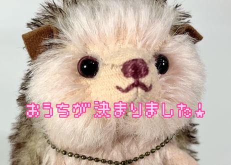 ハリネズミ#260