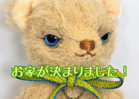 ぷちモヘアベア#211(現品)