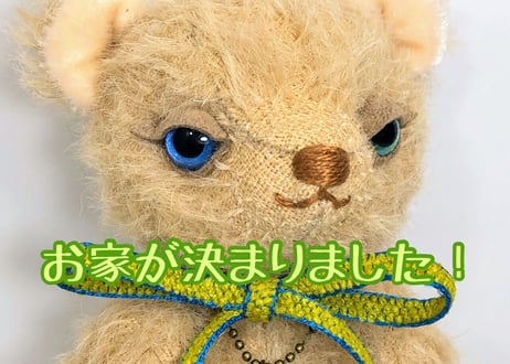 ぷちモヘアベア#211(現品)
