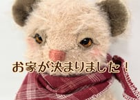 ぷちモヘアベア★お出掛けブーツstyle#266