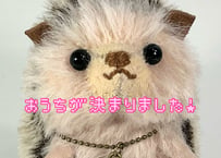 ハリネズミ#265