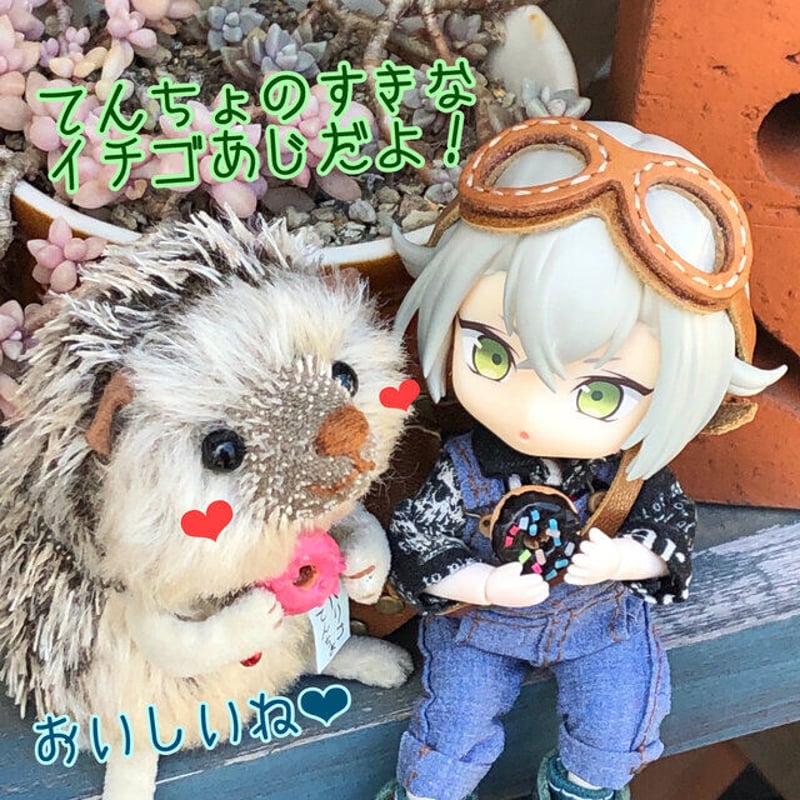 レア 美品 ポケパーク ミュウ ドール ドールズ ぬいぐるみ 12インチ