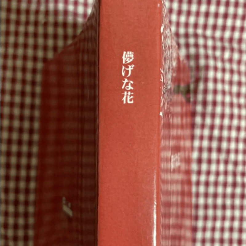 儚げな花/Mcハイジ【入手困難】 【公式通販】 儚げな花/Mcハイジ【入手困難】 【公式通販】
