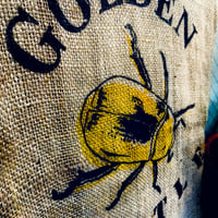Panama＃SHB-EP San Sebastian Estate Golden Beetle 【200g】