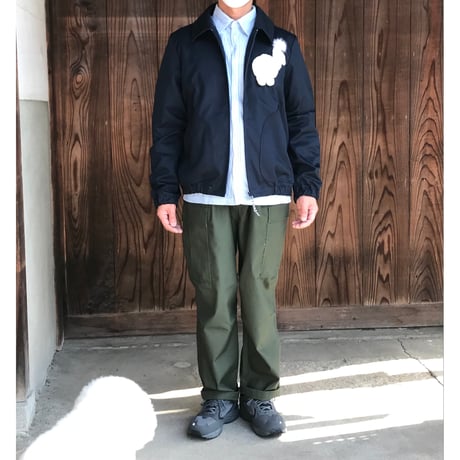しろいぬさん専用 ワンニャン大行進