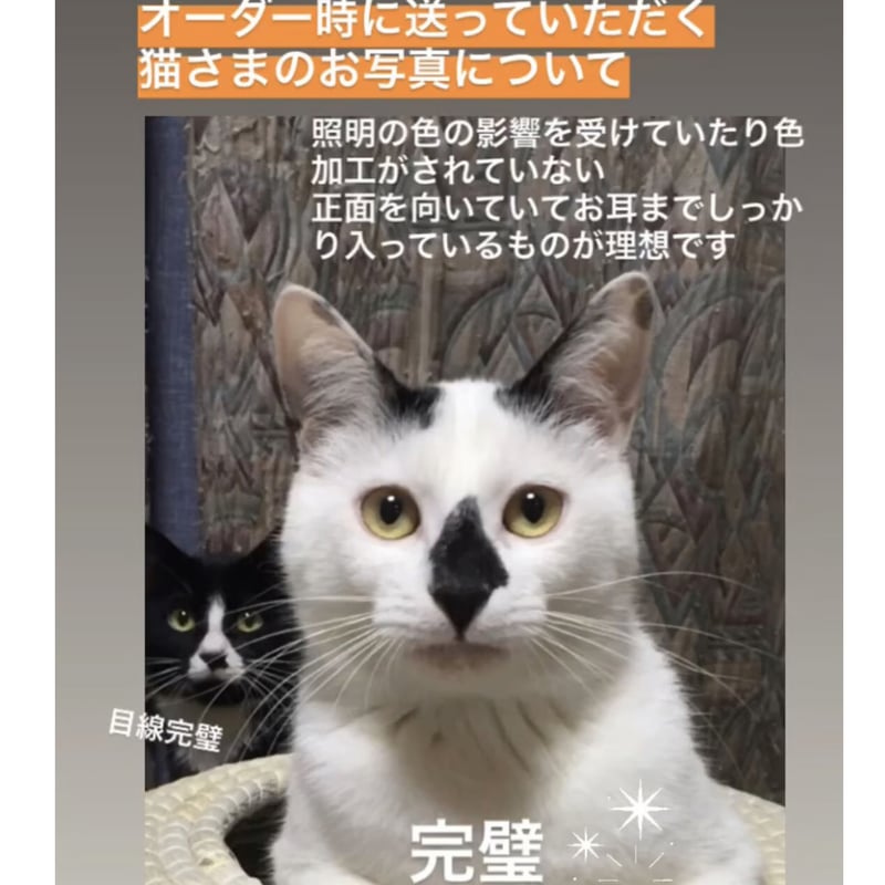 猫丸様　オーダー専用ページ かべねこオーダー（L） | kushuplus
