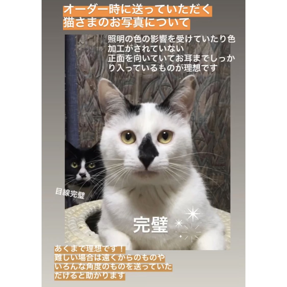 かべねこミニオーダー（M） | kushuplus