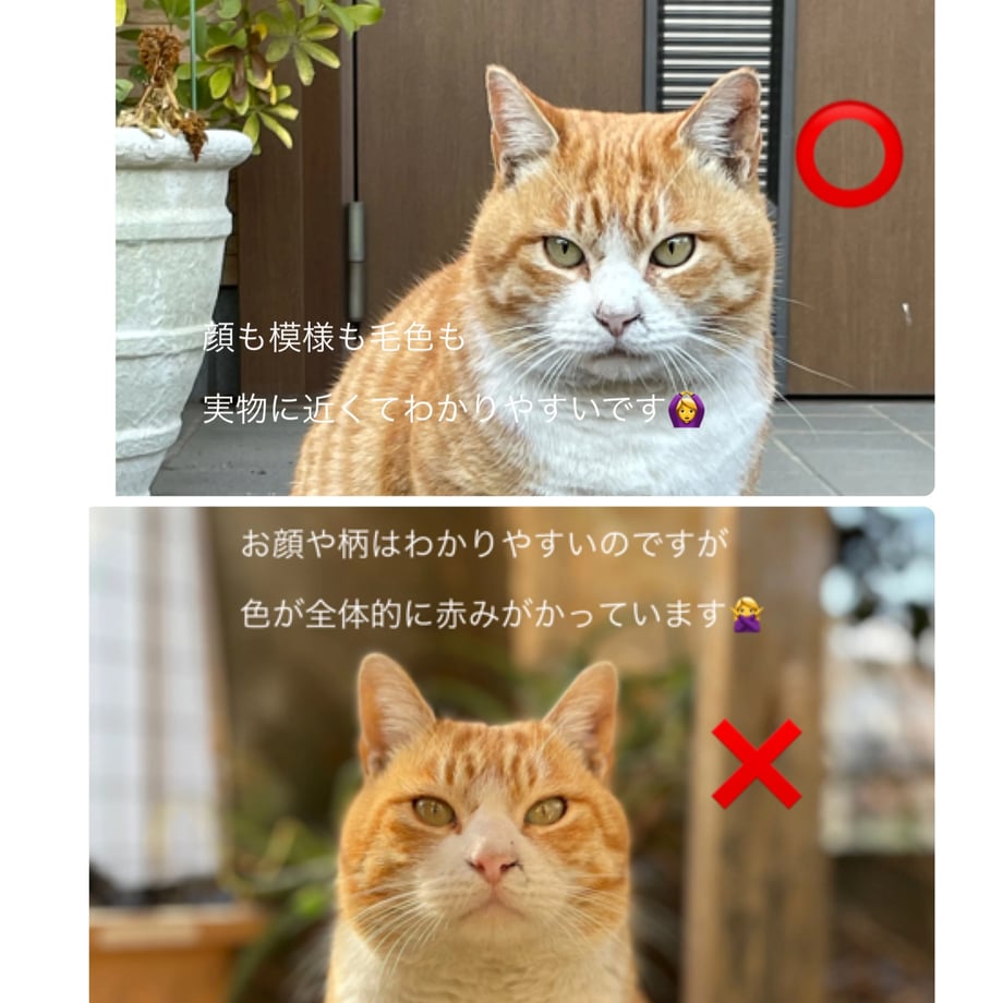 6987066ea2eab230e43d9c23