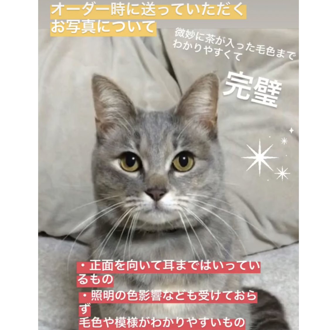 かべねこオーダー（L） | kushuplus