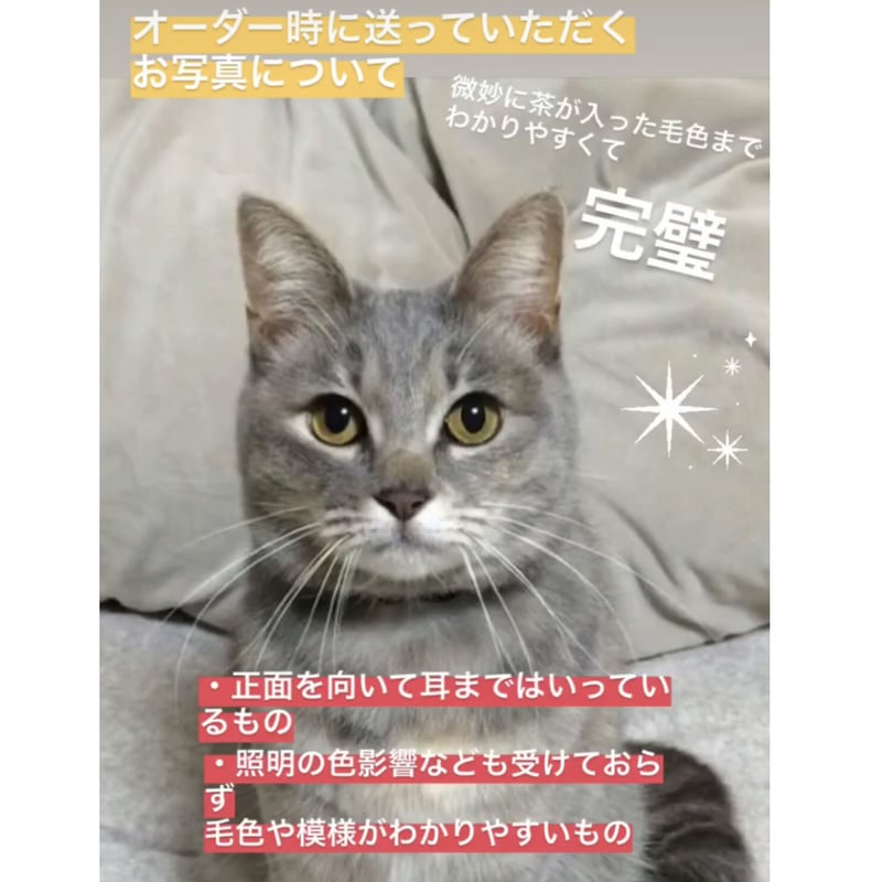 Sさま専用 かべねこミニ（Mサイズ） | kushuplus