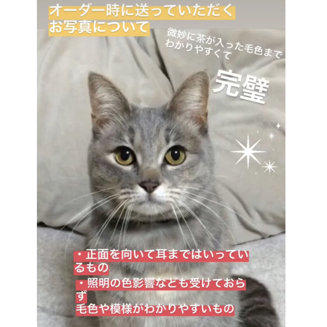 ΦωΦ)ベビちゃんねこ♥(ΦωΦ)まなあきちゃんオーダー♥猫♥ （かべねこ 