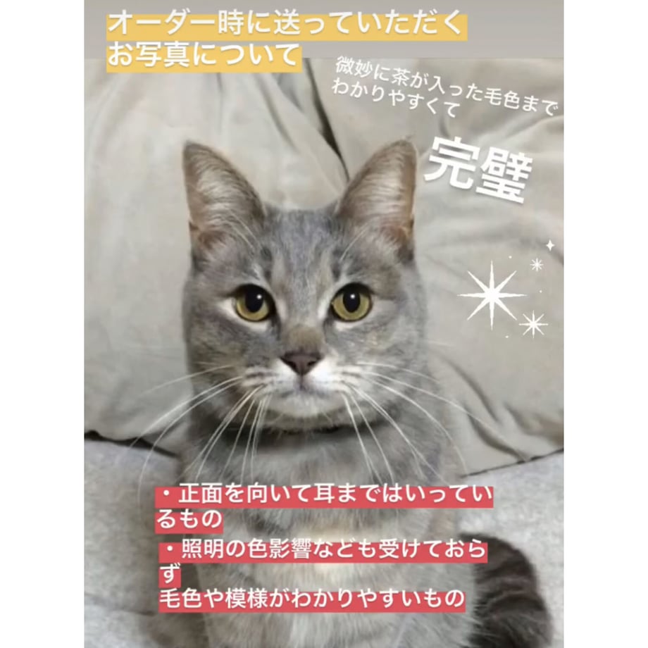 6987066ea2eab230e43d9c23