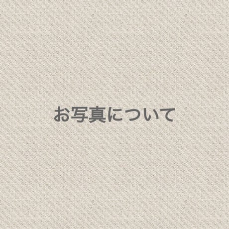 送っていただくお写真について※オーダー申し込みページではありません
