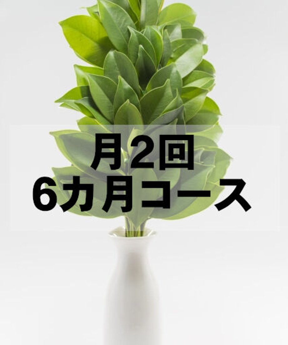 5ff6e57372eb46491eeed65e