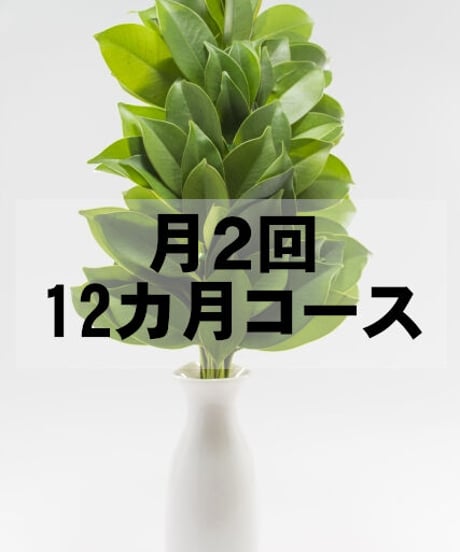お榊（サカキ）定期便 12ヶ月コース 毎月2回発送