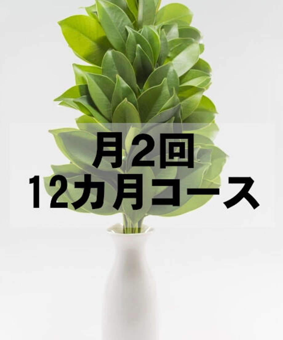 5ff2c9cbb00aa31e6554d80e