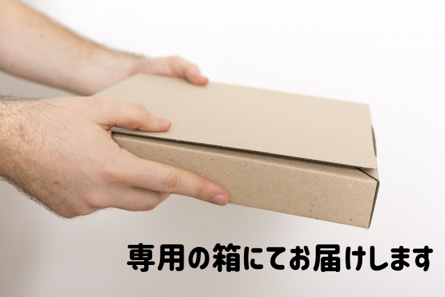 お榊（サカキ）定期便 6ヶ月コース 毎月2回発送 | フローラ お花と