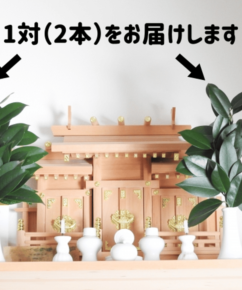 榊ホンサカキ定期便　月2コース お榊（サカキ）定期便 12ヶ月コース 毎月2回発送 | フローラ お花と
