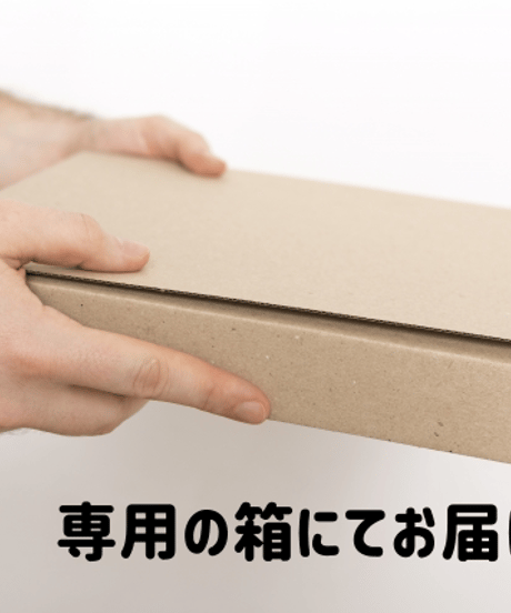 お榊（サカキ）定期便 12ヶ月コース 毎月2回発送