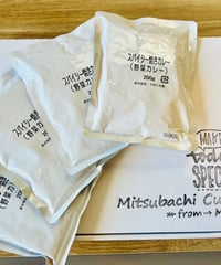 レトルトカレー4セット定期便（ご自宅用）