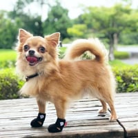 犬用シューズ（アニサポ ナックルンHERO）