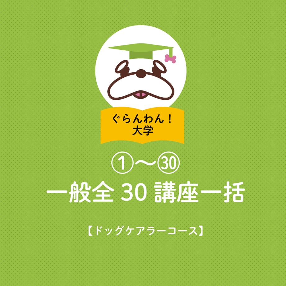 662229a9e04d450356757eb4