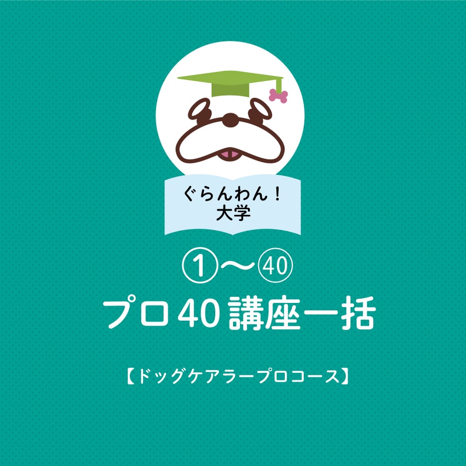 662229a9e04d450356757eb4