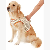 犬の介護をゼロにする7つの習慣 | Grandwan! Store