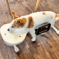 リラたっち