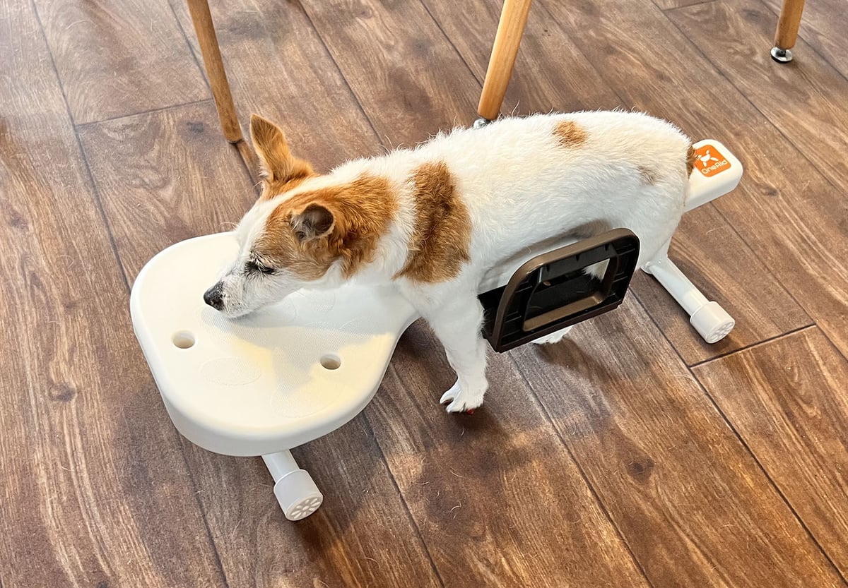 リラたっち | Grandwan! Store