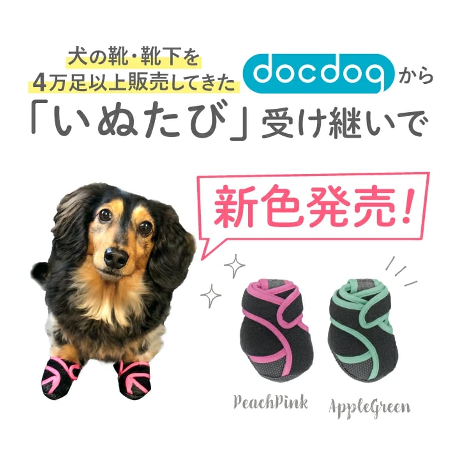 655f1f31ddb4220a229d9768